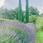Kır Evi La D Amis