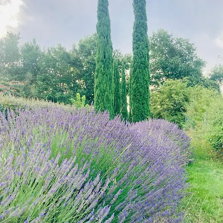 Casa rural La D Amis