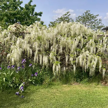 컨트리하우스 La D Amis