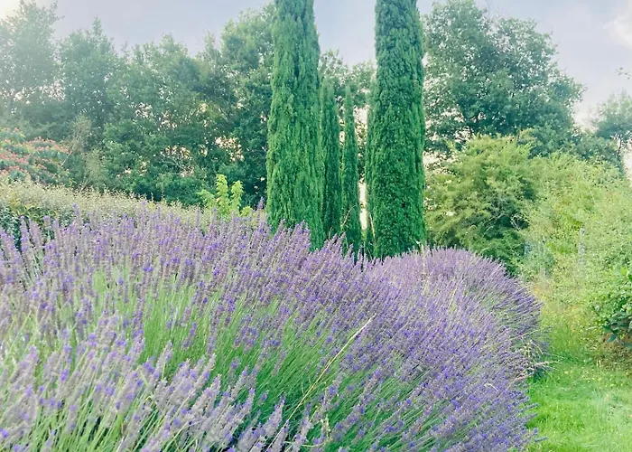 Country house La D Amis