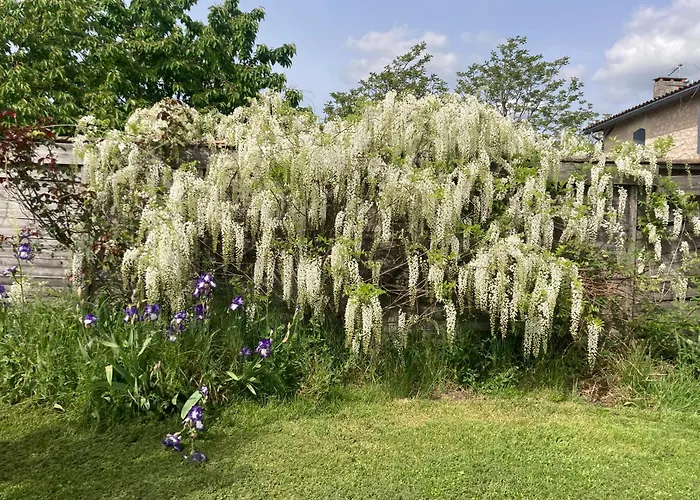 컨트리하우스 La D Amis