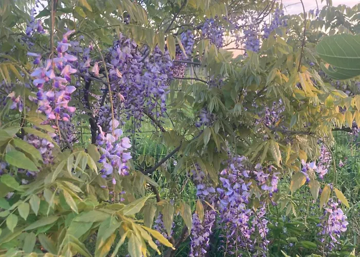 컨트리하우스 La D Amis Saint-Caprais-de-Bordeaux